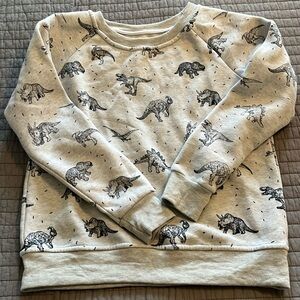 Women’s Dinosaur Sweatshirt